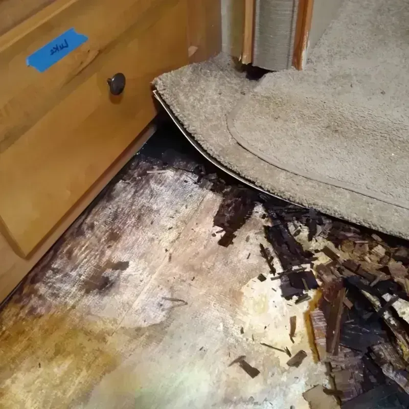 Wood Floor Water Damage in Orange, TX